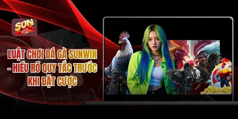 Luật chơi đá gà